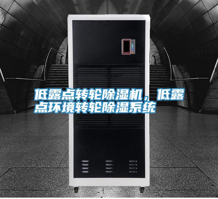 低露點轉(zhuǎn)輪除濕機，低露點環(huán)境轉(zhuǎn)輪除濕系統(tǒng)