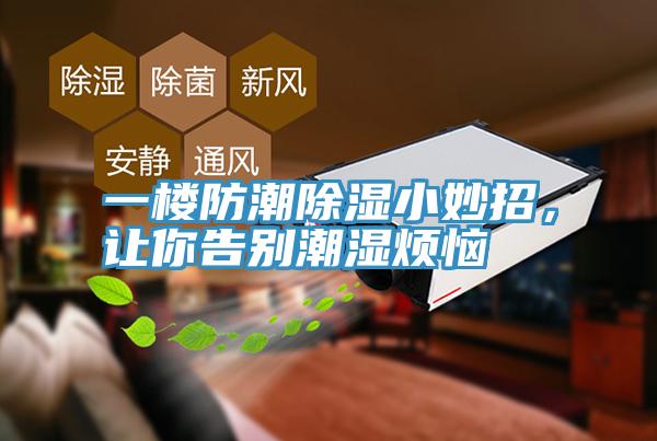 一樓防潮除濕小妙招，讓你告別潮濕煩惱