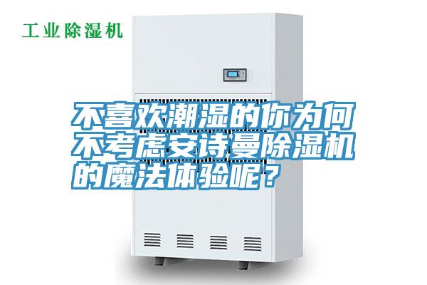 不喜歡潮濕的你為何不考慮安詩曼除濕機的魔法體驗呢？