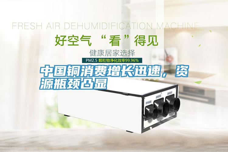 中國(guó)銅消費(fèi)增長(zhǎng)迅速，資源瓶頸凸顯