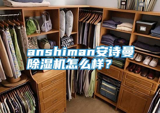 anshiman安詩曼除濕機怎么樣？