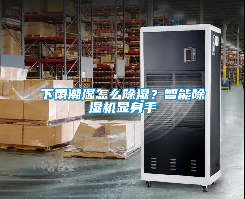 下雨潮濕怎么除濕？智能除濕機(jī)顯身手