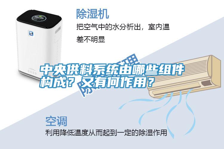 中央供料系統(tǒng)由哪些組件構(gòu)成？又有何作用？