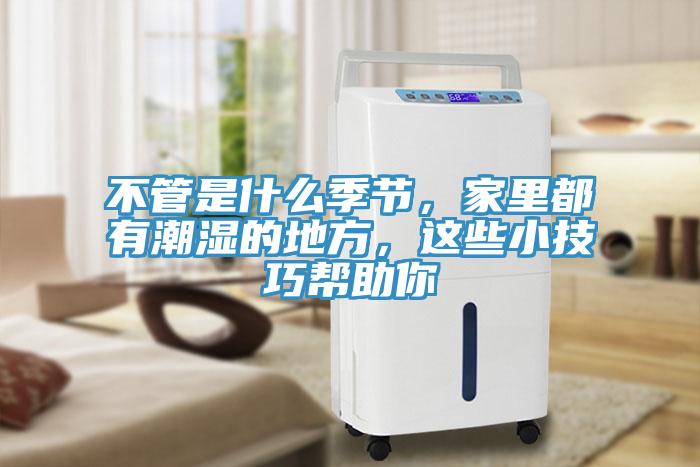 不管是什么季節(jié)，家里都有潮濕的地方，這些小技巧幫助你