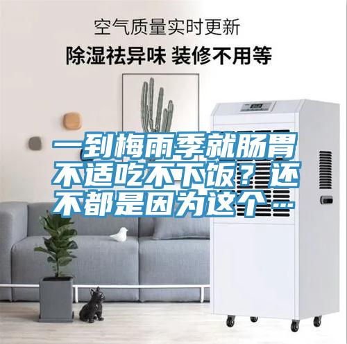 一到梅雨季就腸胃不適吃不下飯？還不都是因?yàn)檫@個(gè)…