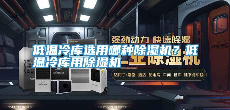 低溫冷庫(kù)選用哪種除濕機(jī)？低溫冷庫(kù)用除濕機(jī)