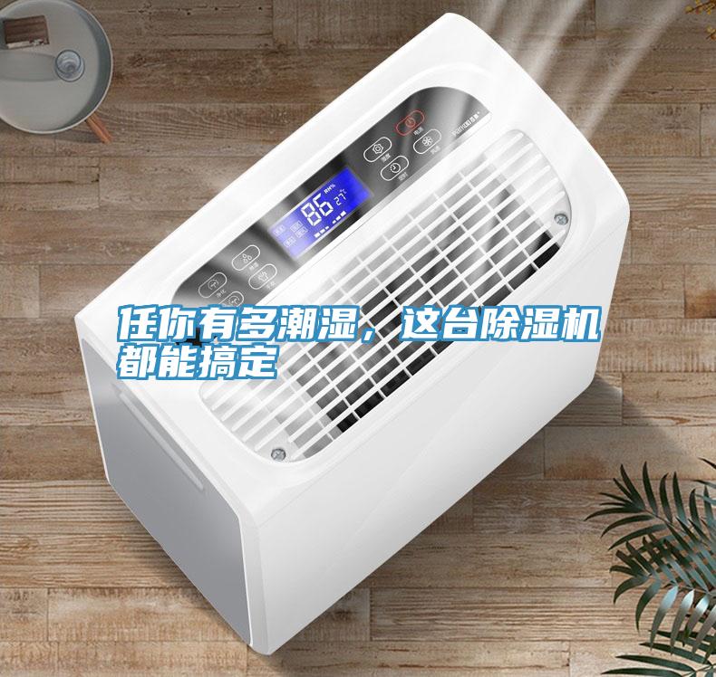 任你有多潮濕，這臺(tái)除濕機(jī)都能搞定