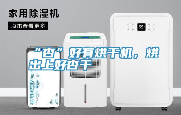 “杏”好有烘干機(jī)，烘出上好杏干