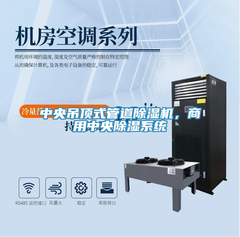 中央吊頂式管道除濕機(jī)，商用中央除濕系統(tǒng)