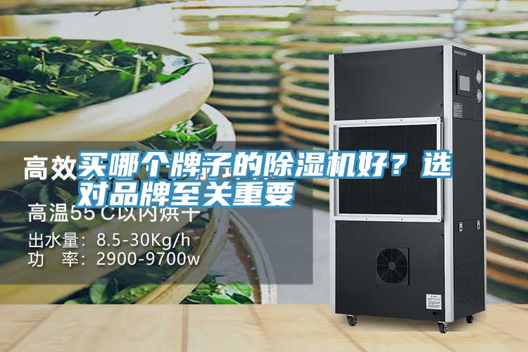 買哪個(gè)牌子的除濕機(jī)好？選對(duì)品牌至關(guān)重要