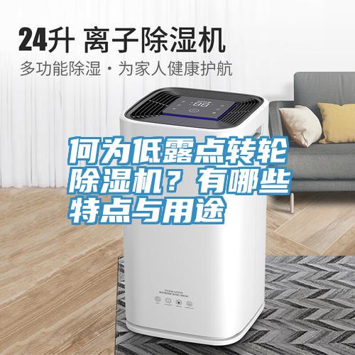 何為低露點轉(zhuǎn)輪除濕機？有哪些特點與用途