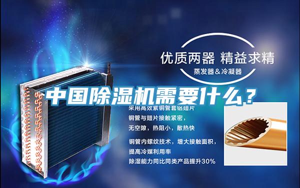中國除濕機需要什么？