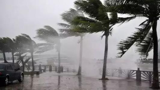 8月臺風雨即將來，除濕機還得用起來