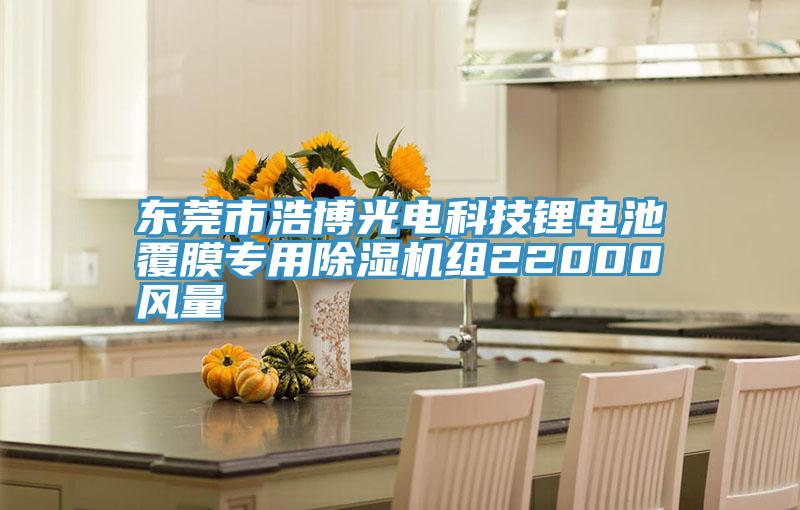 東莞市浩博光電科技鋰電池覆膜專(zhuān)用除濕機(jī)組22000風(fēng)量
