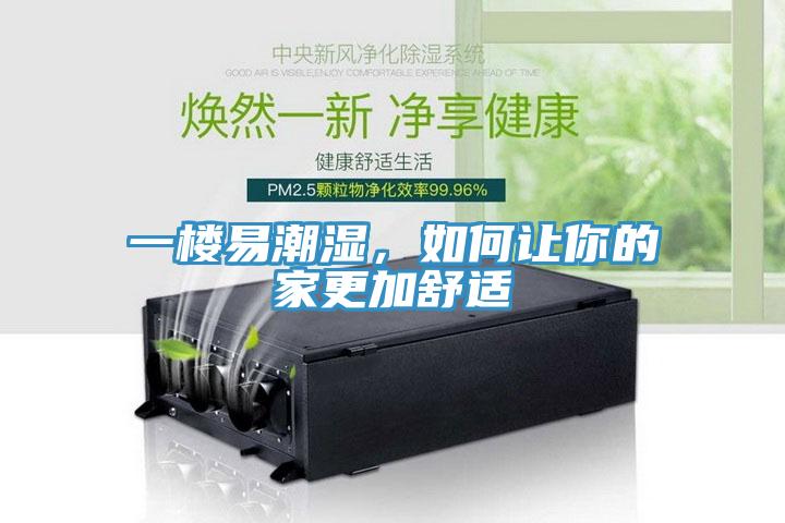 一樓易潮濕，如何讓你的家更加舒適