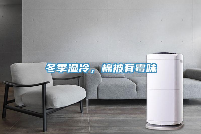 冬季濕冷，棉被有霉味