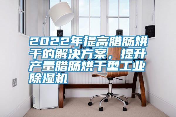 2022年提高臘腸烘干的解決方案，提升產(chǎn)量臘腸烘干型工業(yè)除濕機(jī)