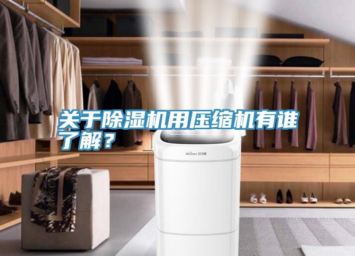 關(guān)于除濕機(jī)用壓縮機(jī)有誰了解？