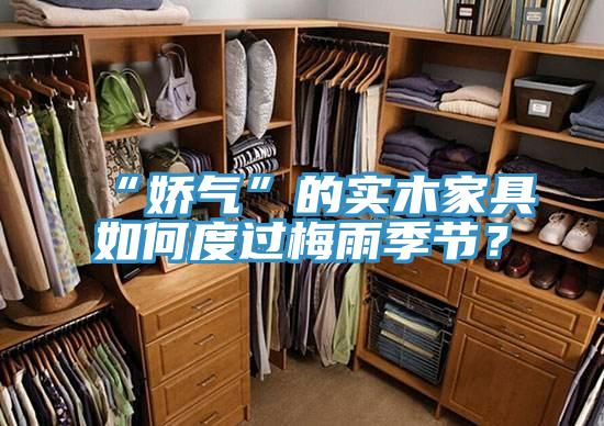 “嬌氣”的實(shí)木家具如何度過梅雨季節(jié)？
