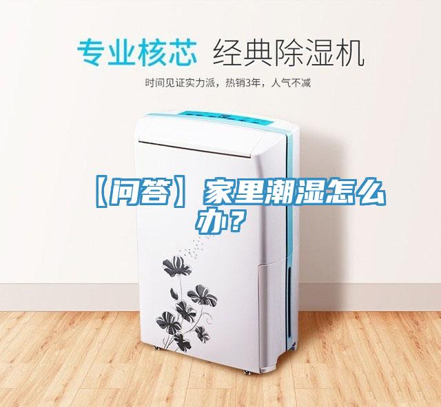 【問答】家里潮濕怎么辦？