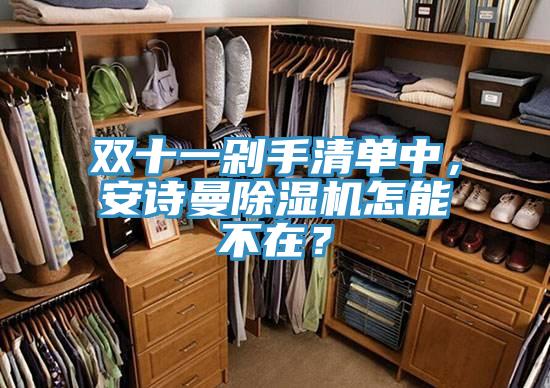 雙十一剁手清單中，安詩曼除濕機(jī)怎能不在？
