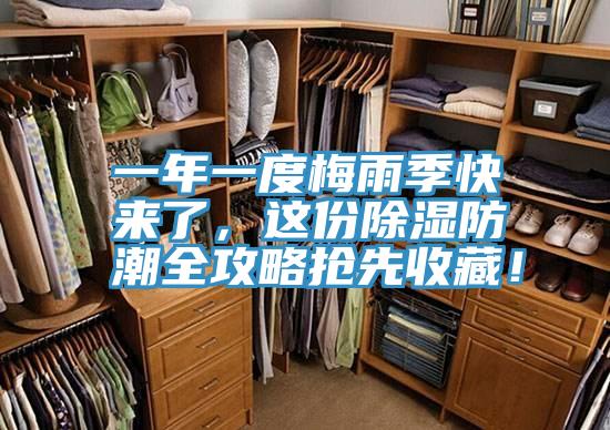 一年一度梅雨季快來了，這份除濕防潮全攻略搶先收藏！
