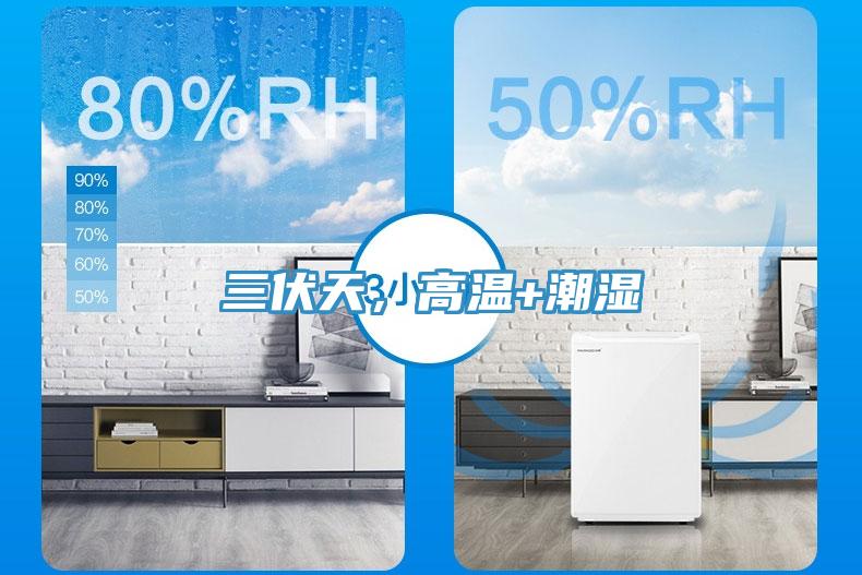 三伏天，高溫+潮濕