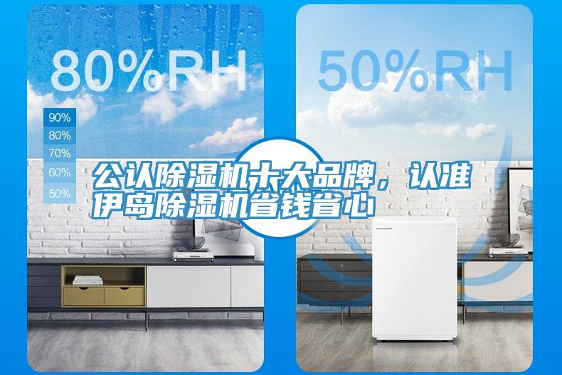 公認(rèn)除濕機十大品牌，認(rèn)準(zhǔn)伊島除濕機省錢省心