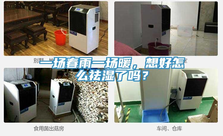 一場春雨一場暖，想好怎么祛濕了嗎？