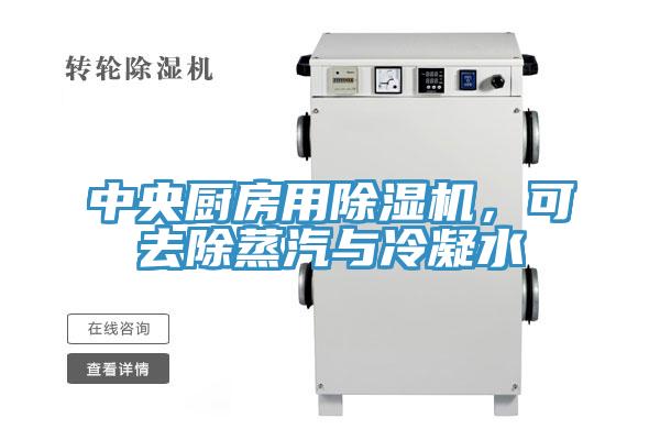中央廚房用除濕機(jī)，可去除蒸汽與冷凝水