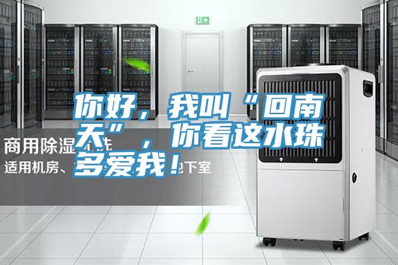 你好，我叫“回南天”，你看這水珠多愛我！