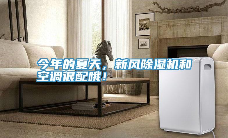 今年的夏天，新風(fēng)除濕機和空調(diào)很配哦！