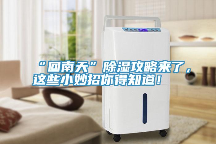 “回南天”除濕攻略來了，這些小妙招你得知道！