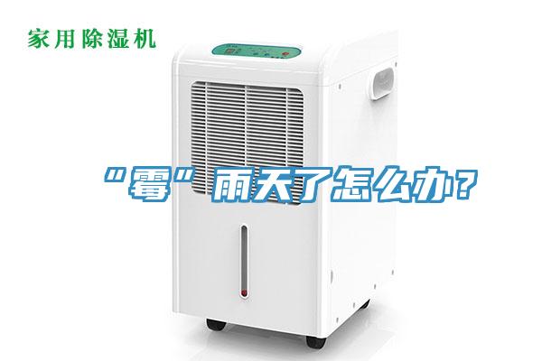 “霉”雨天了怎么辦？