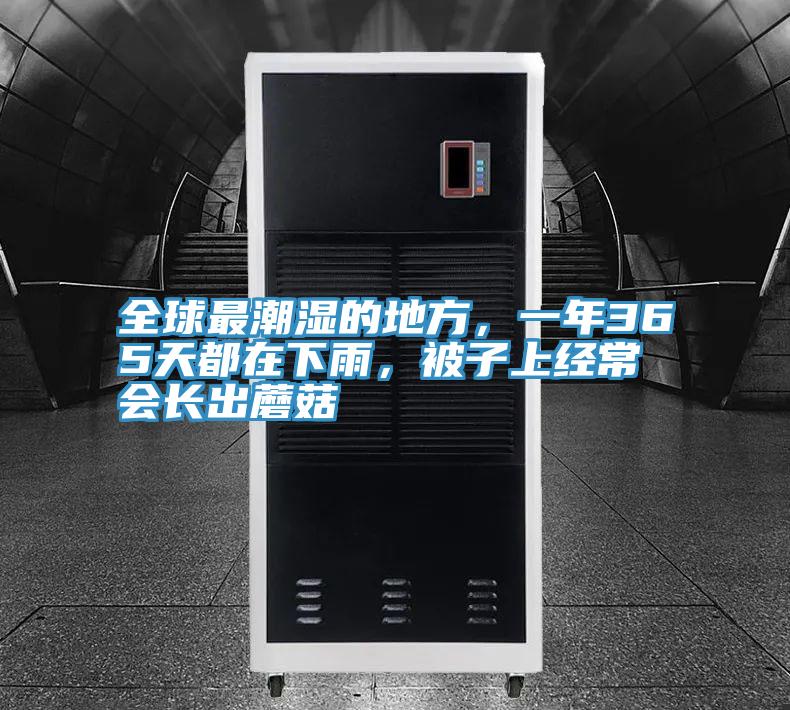全球最潮濕的地方，一年365天都在下雨，被子上經(jīng)常會長出蘑菇