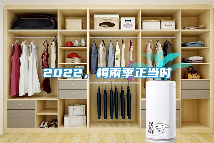 2022，梅雨季正當(dāng)時
