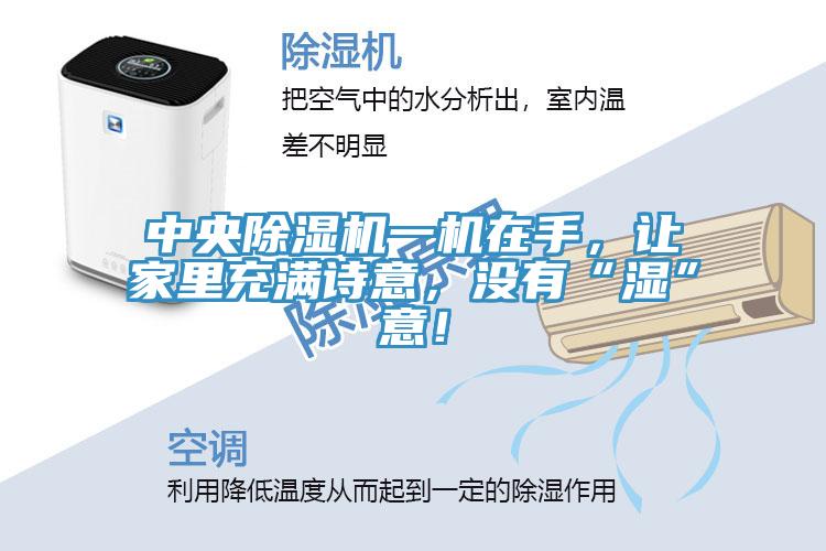 中央除濕機(jī)一機(jī)在手，讓家里充滿詩意，沒有“濕”意！
