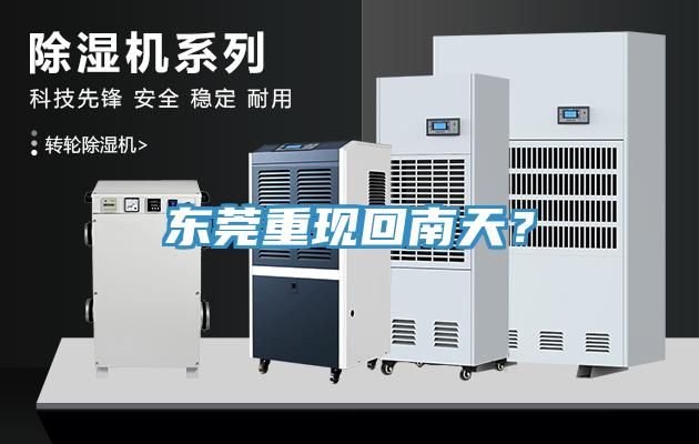 東莞重現(xiàn)回南天？