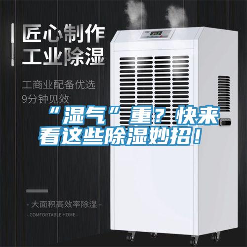 “濕氣”重？快來(lái)看這些除濕妙招！