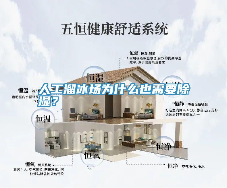 人工溜冰場為什么也需要除濕？