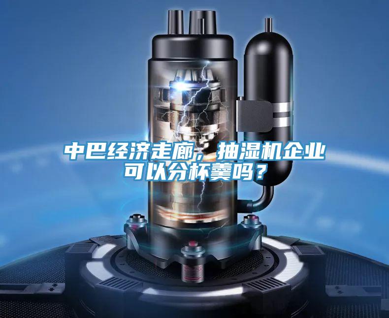 中巴經(jīng)濟(jì)走廊，抽濕機(jī)企業(yè)可以分杯羹嗎？