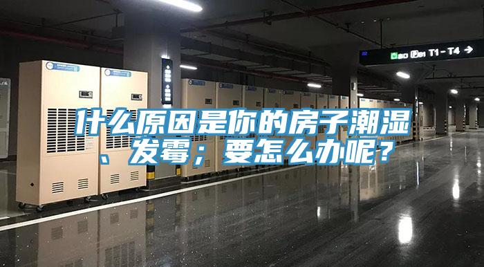 什么原因是你的房子潮濕、發(fā)霉；要怎么辦呢？