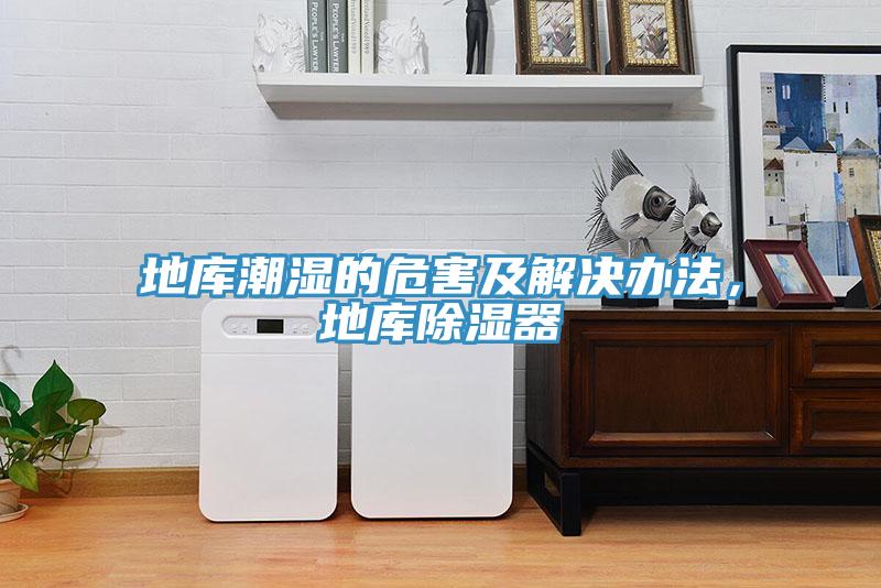 地庫潮濕的危害及解決辦法，地庫除濕器