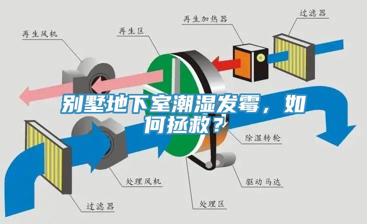 別墅地下室潮濕發(fā)霉，如何拯救？