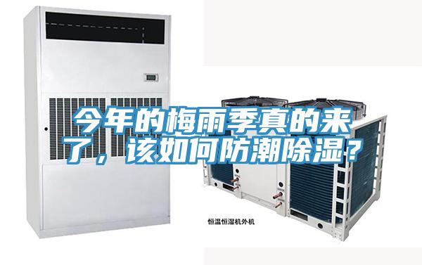 今年的梅雨季真的來(lái)了，該如何防潮除濕？