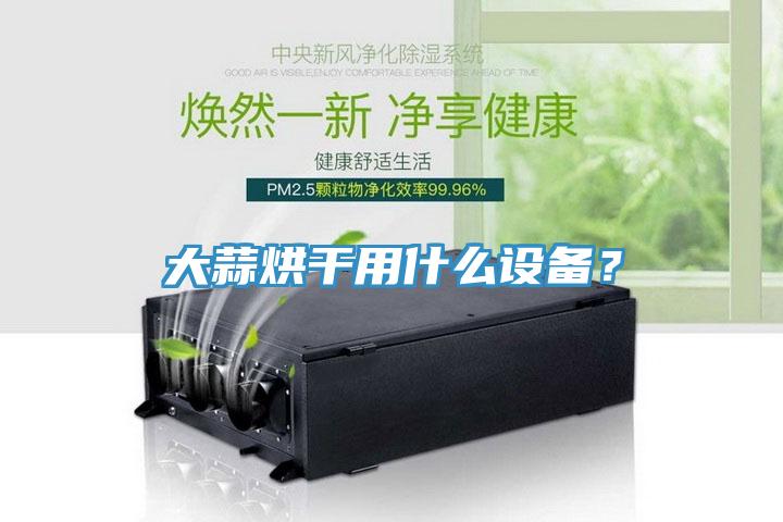 大蒜烘干用什么設備？