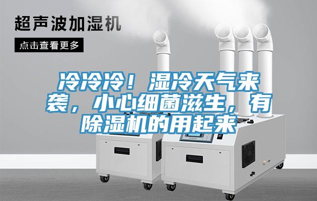 冷冷冷！濕冷天氣來襲，小心細菌滋生，有除濕機的用起來