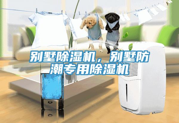 別墅除濕機(jī)，別墅防潮專用除濕機(jī)