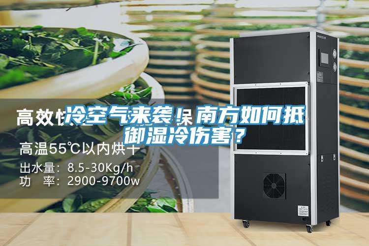 冷空氣來(lái)襲！南方如何抵御濕冷傷害？