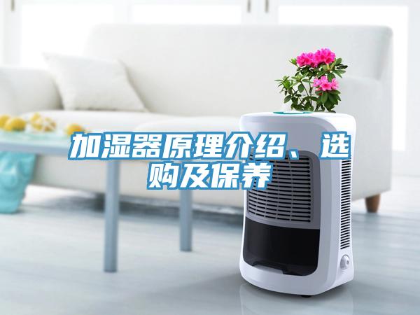 加濕器原理介紹、選購及保養(yǎng)